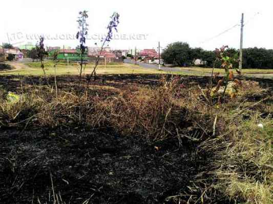 A queimada urbana é cometida por infratores para a remoção de material acumulado em terrenos baldios
