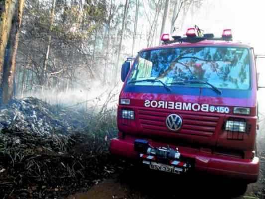 Floresta Estadual vem sofrendo com incêndios há semanas