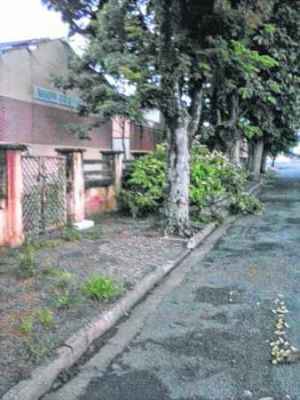 TEMPORAL: pancada de chuva de quarta (4) alagou pontos da Visconde. Chuva de quinta (5) provocou queda de galhos