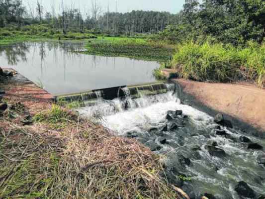 Ponto de captação de água do Ribeirão Claro dentro da Floresta Estadual Edmundo Navarro de Andrade