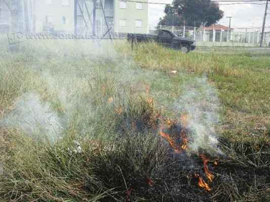 Atear fogo ao mato é crime ambiental passível de penalização com multa (foto arquivo)