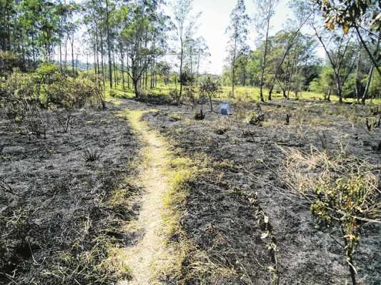 A área localizada entre os bairros São Miguel e Vila Industrial foi bastante atingida pelo incêndio de chamas rasteiras