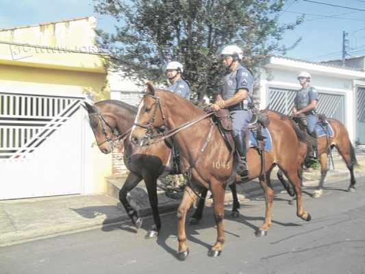 Sargento Marucci organiza Cavalaria dentro do destacamento, localizado no bairro Cervezão; policiais em seus cavalos realizam ronda em comemoração aos 30 anos da Cavalaria na cidade 