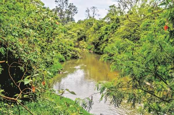 Rio Corumbataí abastece 60% do município de Rio Claro