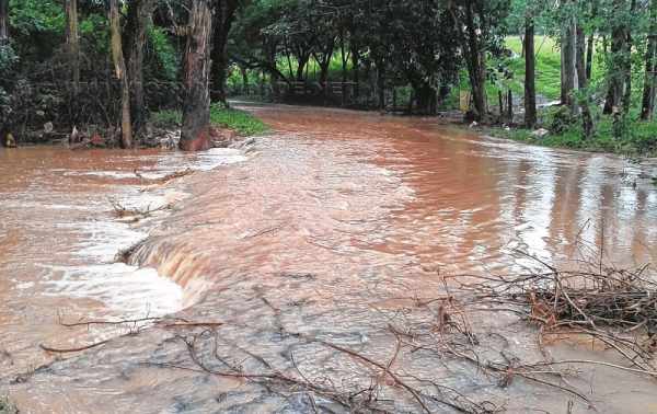 Córrego São Pedro ficou obstruído por vegetação e entulho. A obstrução do córrego provocou alagamento em um terreno