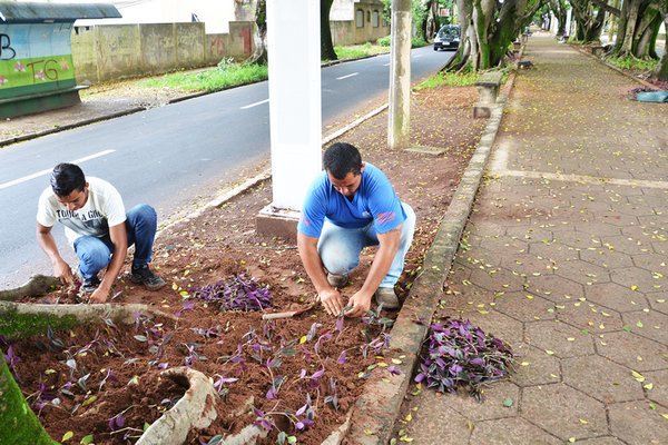Via da Saudade está recebendo nova iluminação e também novo paisagismo, que inclui plantio de flores e espécies rasteiras