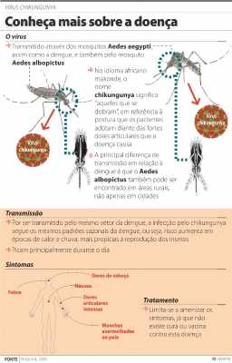 Gráfico traz informações sobre a doença e qual é o modo de transmissão da febre chikungunya