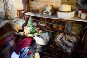 Criadouros de mosquito e ratos mortos foram encontrados, o que “representa grande perigo para a saúde do morador e seus vizinhos”