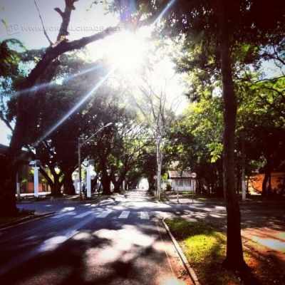 O local escolhido por Mariana Vassoler para tirar a fotografia vencedora foi a Avenida da Saudade