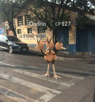 Pokemón Dodrio na Avenida 14 com a Rua 6