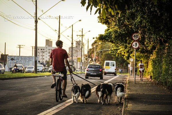 Bicicleta, bike, magrela, independentemente do nome e da utilização, a cidade de Rio Claro é repleta de ciclistas que as aproveitam muito (Foto: Donalis Delgado)