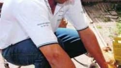 Funcionário do CCZ aplica vacina contra a raiva em cão. Gatos também devem ser vacinados (foto divulgação/arquivo)