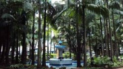 Vítima foi agredida e roubada por assaltante, que fugiu em seguida