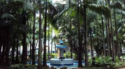 Vítima foi agredida e roubada por assaltante, que fugiu em seguida