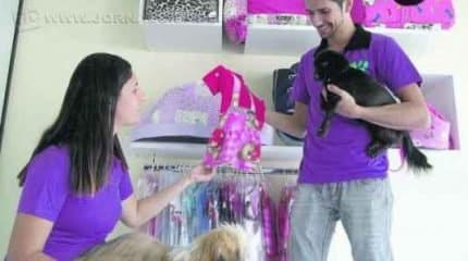 Banho morno e roupinhas ajudam a manter o pet limpo e aquecido nos dias mais frios