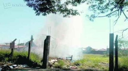 O crime ambiental, de acordo com a Lei Federal 9.605, é cometido por infratores para a remoção de material acumulado, como lixo e mato alto em terrenos baldios, em diferentes pontos de RC