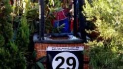 Foto enviada pela leitora Haleteia Povidaiko