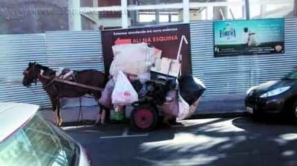 A foto tirada pela leitora engajada na causa animal, Agnes Teixeira, mostra animal carregando carga excessiva na carroça