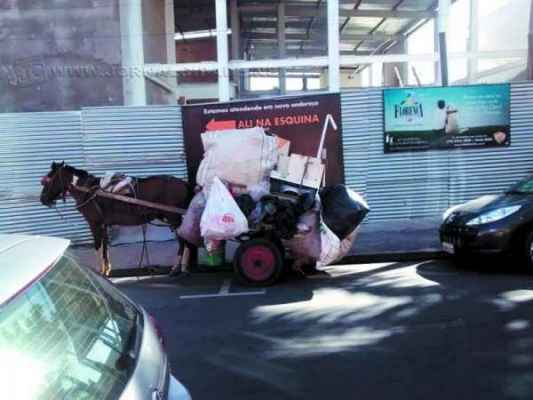 A foto tirada pela leitora engajada na causa animal, Agnes Teixeira, mostra animal carregando carga excessiva na carroça