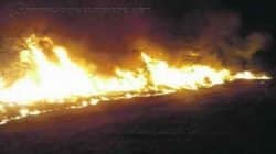 Fogo de média proporção atingiu Horto Florestal de RC