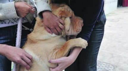ser imunizados (foto Fabio Rodrigues Pozzebom/ABr)