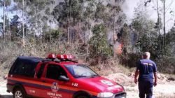 Segundo foco de incêndio em dois dias no Horto Florestal em Rio Claro