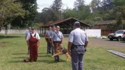 Equipe do Canil da Polícia Militar de Rio Claro