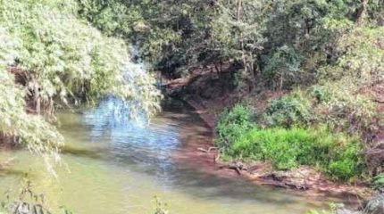 Vista do Rio Corumbataí, que passa sob a ponte que liga o Jardim das Palmeiras ao Jardim Nova Rio Claro (foto arquivo)