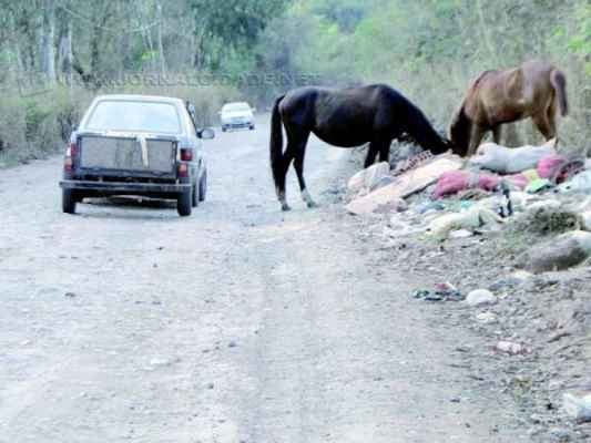 UM DIA O ASFALTO CHEGA: prefeitura assegura que espera por providências do governo estadual para dar início às benfeitorias no final da Rua Jacutinga
