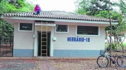 Vista do prédio que abriga o Herbário Rio-clarense localizado no campus da Unesp