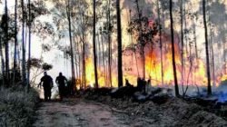 Corpo de Bombeiros e Defesa Civil atenderam a ocorrência