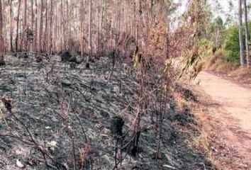Incêndio registrado pela Defesa Civil na tarde desta quarta-feira (10)