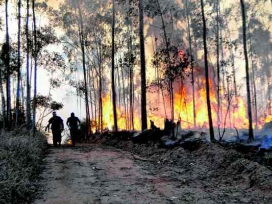 Corpo de Bombeiros e Defesa Civil atenderam a ocorrência