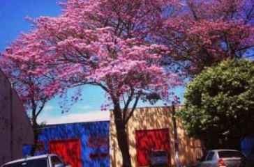 Campanha #NossaCordeirópolis quer valorizar pontos turísticos da cidade