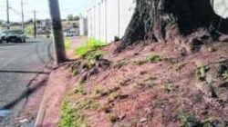 Imagem enviada por leitores do Jornal Cidade mostra situação do ponto na Rua 30, próximo a um condomínio residencial