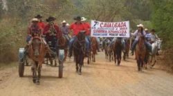 Devotos de N. Sª Aparecida se reúnem em cavalgada