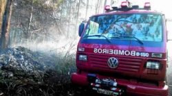 Floresta Estadual vem sofrendo com incêndios há semanas