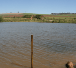 A Lagoa de São Bento também é utilizada para captação de água potável em Santa Gertrudes