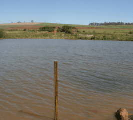 A Lagoa de São Bento também é utilizada para captação de água potável em Santa Gertrudes