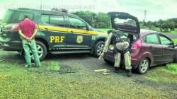 O homem confessou que pegou a droga em Rio Claro e receberia a quantia de R$ 10 mil pelo transporte até Juiz de Fora-MG