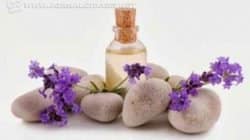 As terapias com florais de Bach atuam em casos de depressão, medo, ansiedade. (Imagem: Reprodução)