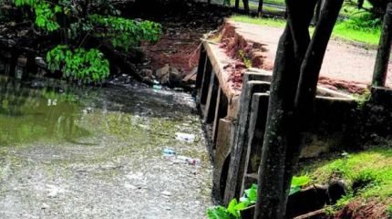 SUJEIRA: a prefeitura diz que acúmulo de sujeira dentro do lago foi causado pelas últimas chuvas e que a limpeza será feita