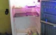 CRUELDADE: fotos enviadas pelas autoridades mostram condições encontradas na clínica