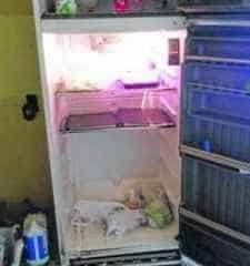 CRUELDADE: fotos enviadas pelas autoridades mostram condições encontradas na clínica