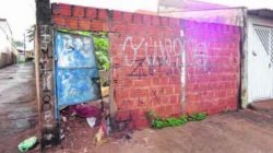 Terreno tem causado transtornos para vizinhos