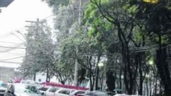 Luminária acesa na Rua 4, região central de Rio Claro, na tarde dessa terça-feira (23)