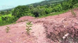 A Polícia Ambiental acompanha a situação de perto e a Sepladema aguarda toda documentação necessária da empresa