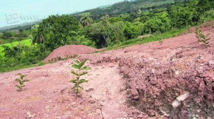 A Polícia Ambiental acompanha a situação de perto e a Sepladema aguarda toda documentação necessária da empresa