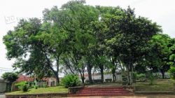 Praça Pública no Jardim Primavera foi limpa recentemente e serve como ponto de encontro no bairro