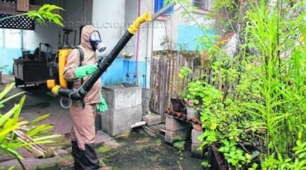 População que quiser denunciar locais onde há condições propícias para acúmulo de água e larvas pode ligar para o 156